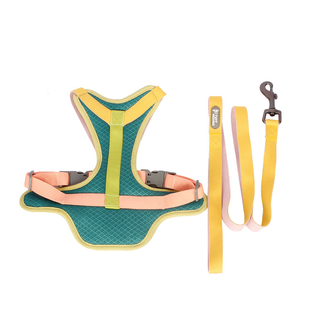 Colorful Pet Harness & Leash Set