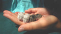 Hamster Happy Home Bundle
